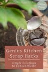 Used coffee grounds in a clear bowl being spooned near a potted plant, suggesting use as fertilizer.