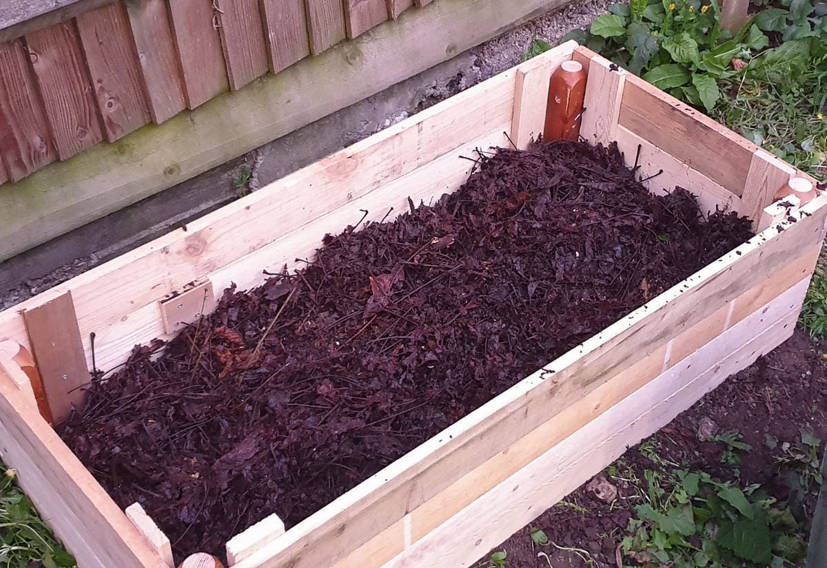 Wooden raised garden bed filled with composting leaves against a wood-paneled shed.