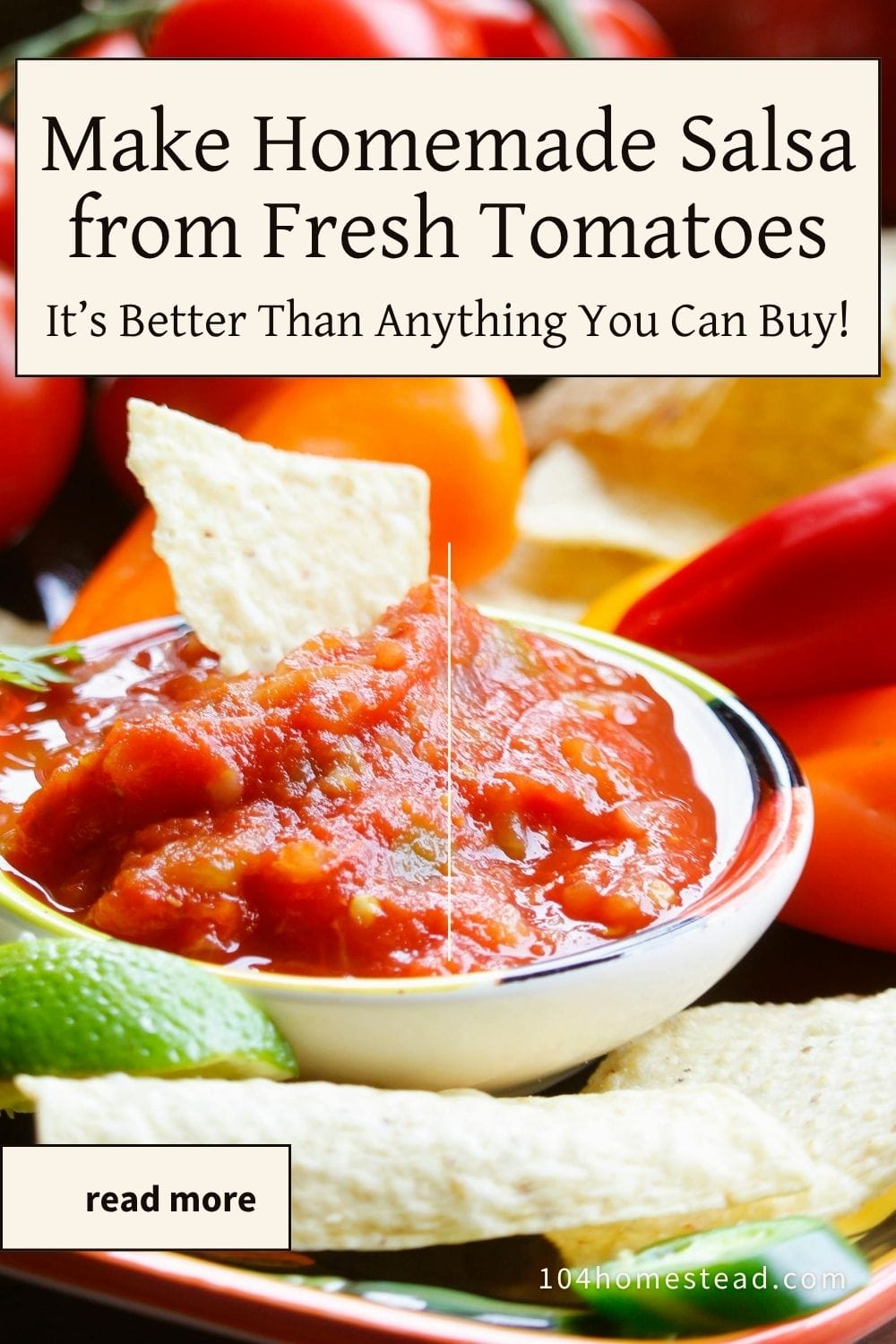 Bowl of homemade salsa made from fresh tomatoes, topped with a tortilla chip, surrounded by colorful peppers and tomatoes; overlaid text reads “Make Homemade Salsa from Fresh Tomatoes – It’s Better Than Anything You Can Buy!”