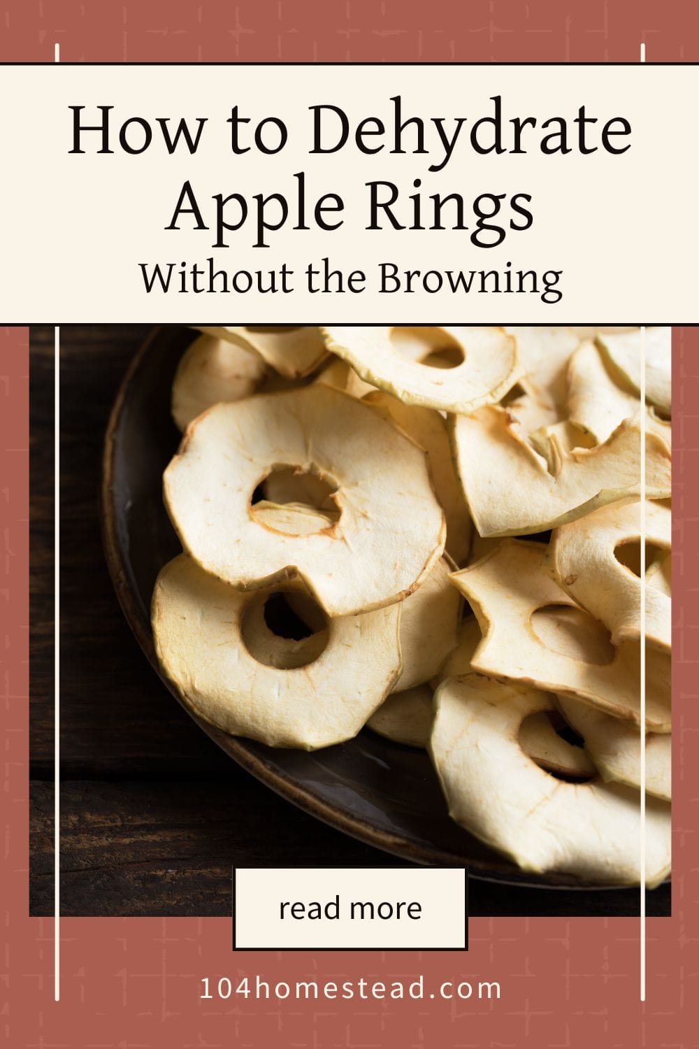 Pinterest graphic showing a plate of dried apple rings with text that reads “How to Dehydrate Apple Rings Without the Browning” from 104homestead.com.