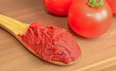 Close-up of homemade tomato paste on a wooden spoon with fresh tomatoes in the background, highlighting the vibrant red color and rich texture.