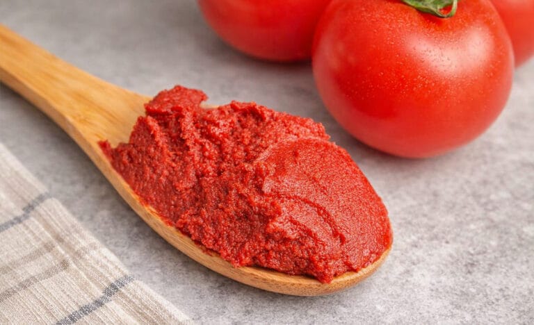 Close-up of homemade tomato paste on a wooden spoon with fresh tomatoes in the background, highlighting the vibrant red color and rich texture.