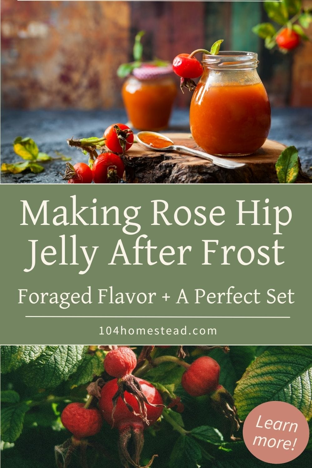 Tall Pinterest image showing homemade rose hip jelly in small jars on a rustic wooden table with fresh rose hips and green leaves; text overlay reads “Making Rose Hip Jelly After Frost – Foraged Flavor + A Perfect Set – 104homestead.com.”