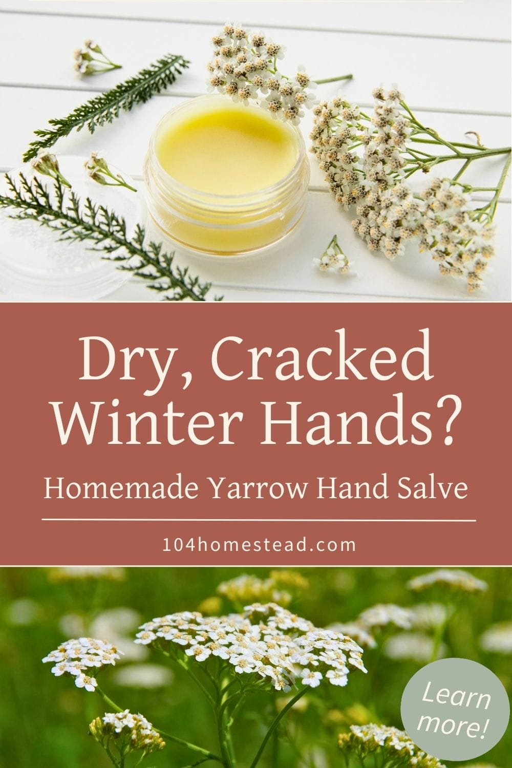 Pinterest graphic showing a jar of homemade yarrow hand salve surrounded by yarrow flowers, with text reading “Dry, Cracked Winter Hands? Homemade Yarrow Hand Salve” and the website 104homestead.com.
