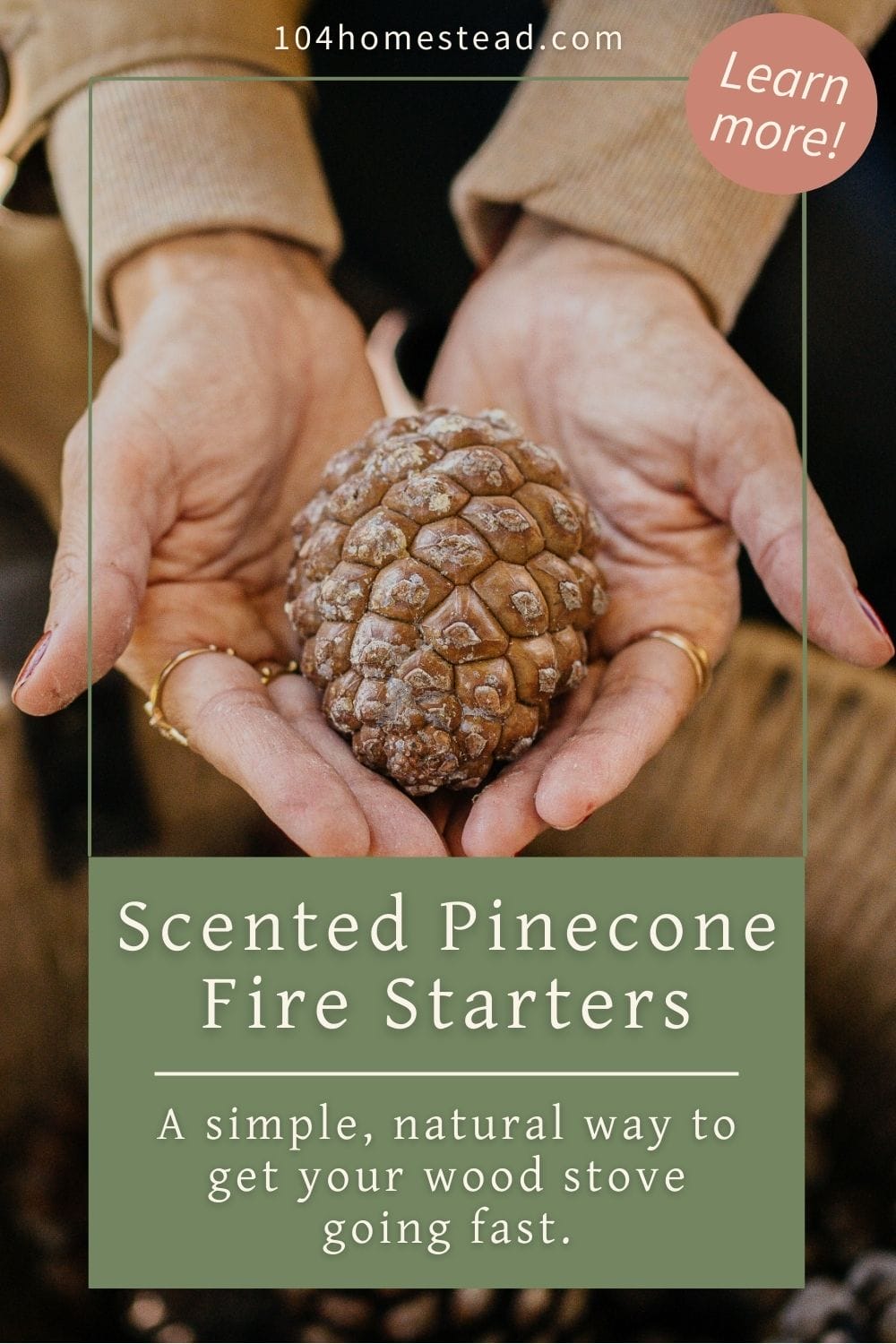 Close-up of two hands holding a single large pinecone, showing its layered scales and natural texture, with soft background tones that highlight the cone.