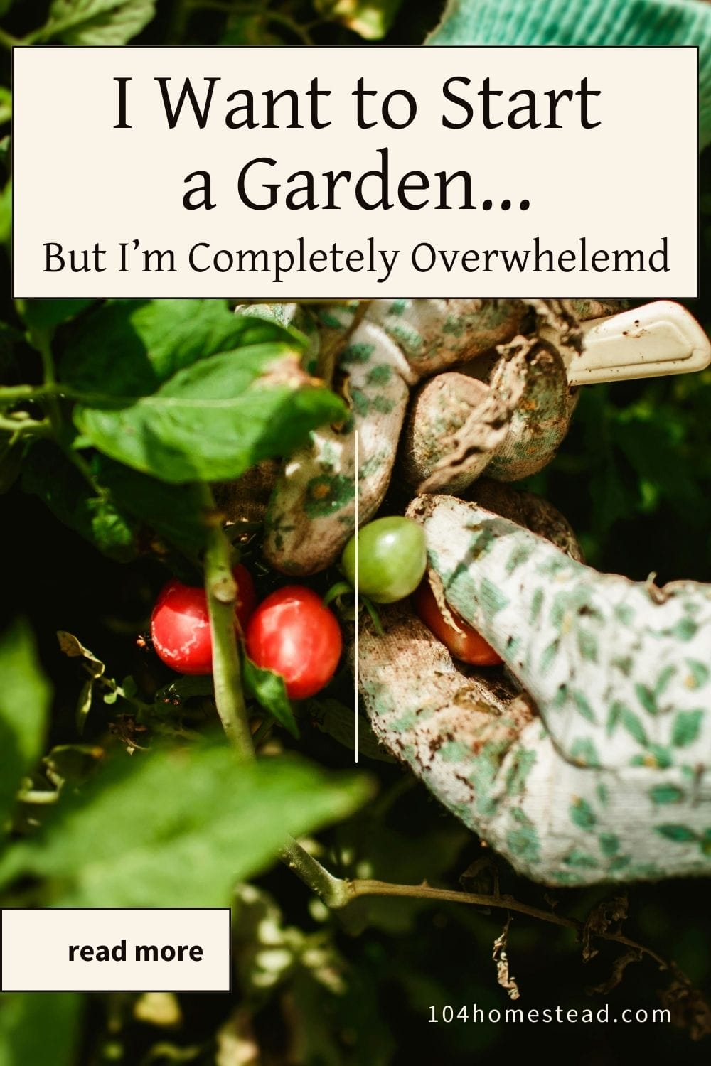 Pinterest-style graphic with the text “I Want to Start a Garden… But I’m Completely Overwhelmed” over a close-up of gloved hands gently holding small tomatoes on the vine in a leafy garden.
