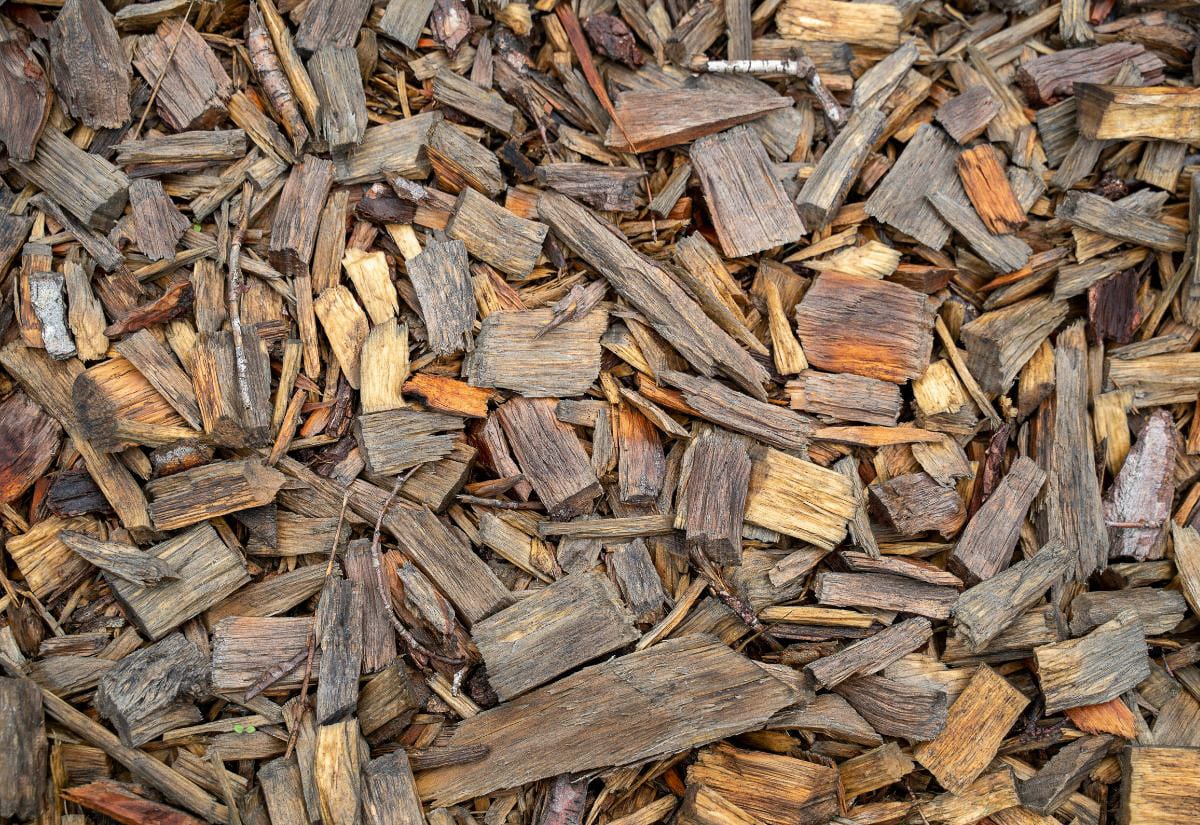 Close-up view of mixed hardwood wood chips used as mulch in a Back to Eden garden, showing uneven sizes and natural texture.