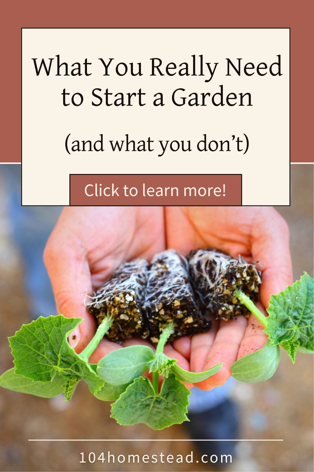 Hands holding three soil blocks with young green seedlings, showing a simple, low-cost way to start a garden from seed.