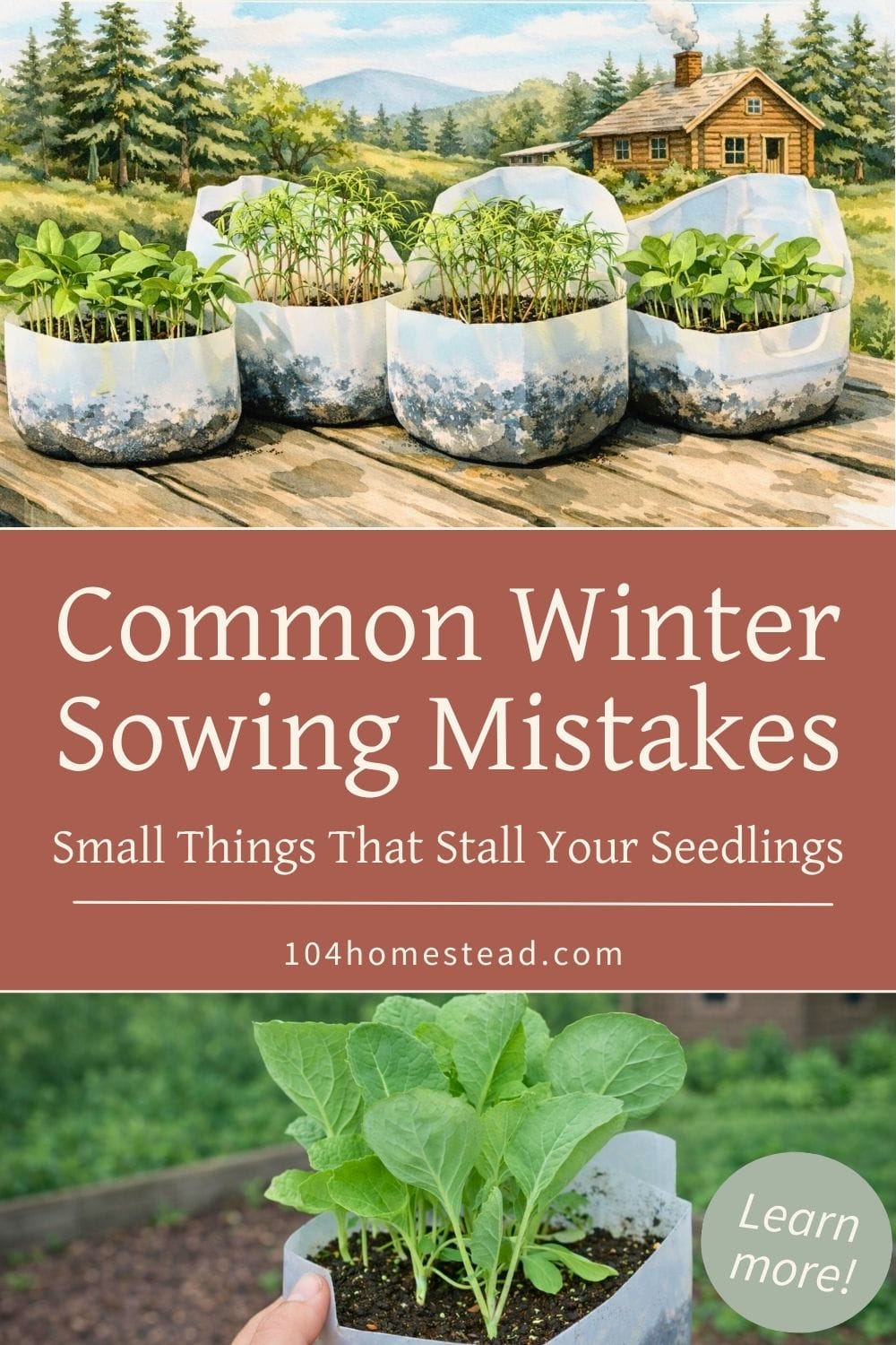 Side view of a repurposed plastic milk jug base used for winter sowing, filled with small green seedlings spaced across rich potting soil, set on a wooden outdoor table with a softly blurred green yard behind it.