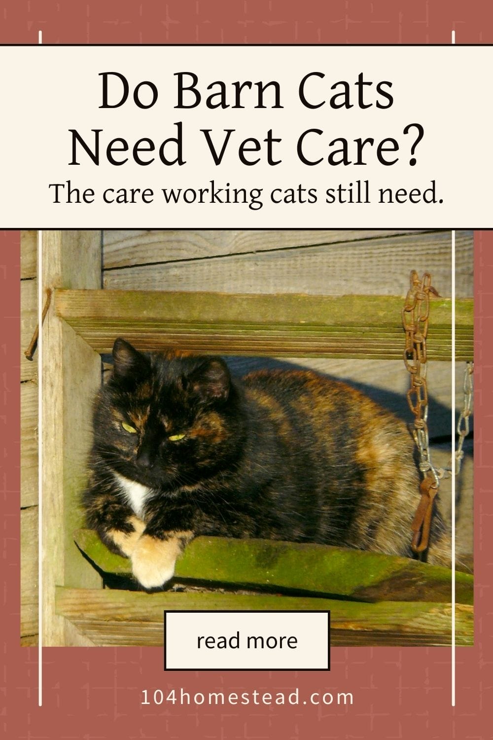 Pinterest graphic titled “Do Barn Cats Need Vet Care? The care working cats still need” featuring a tortoiseshell barn cat resting on a wooden shelf inside a rustic barn, with a call-to-action button and the website 104homestead.com.