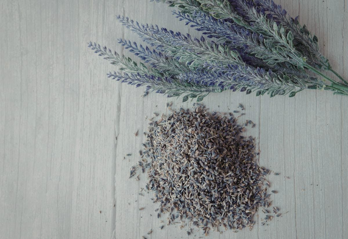 Pile of dried lavender buds and stems on a light wooden surface, with sprigs of purple lavender flowers nearby.