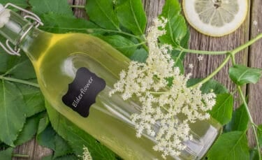 Swing-top glass bottle filled with pale yellow elderflower cordial lying on fresh elderberry leaves, white elderflower blossoms, and a sliced lemon on a weathered wooden surface.