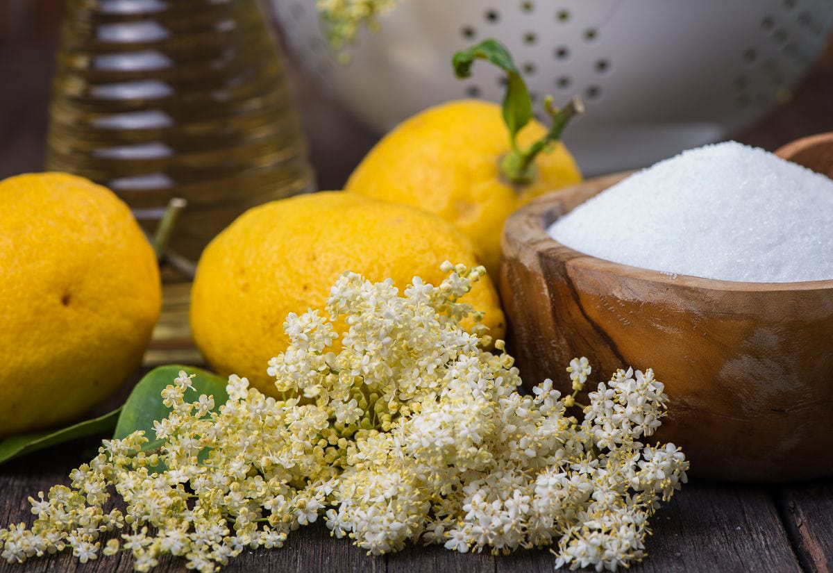 Fresh elderflower blossoms arranged with lemons, sugar, and a bottle of liquid ingredients on a wooden surface for making homemade elderflower cordial.