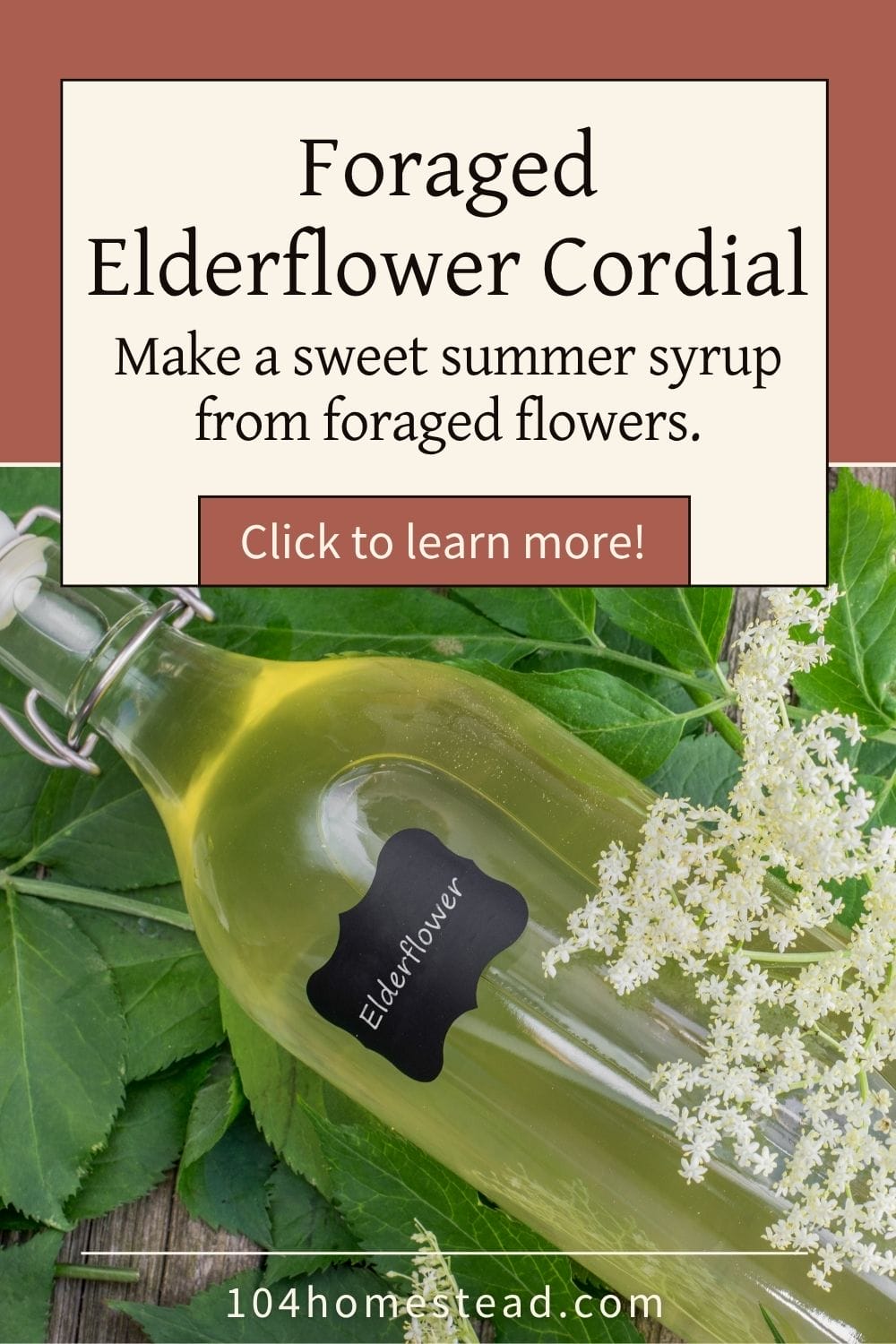 Pinterest graphic for foraged elderflower cordial with a bottle of pale cordial, elderflower blossoms, and text reading “Foraged Elderflower Cordial.”